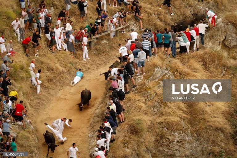 Pilon de Falces running of the bulls in Spain