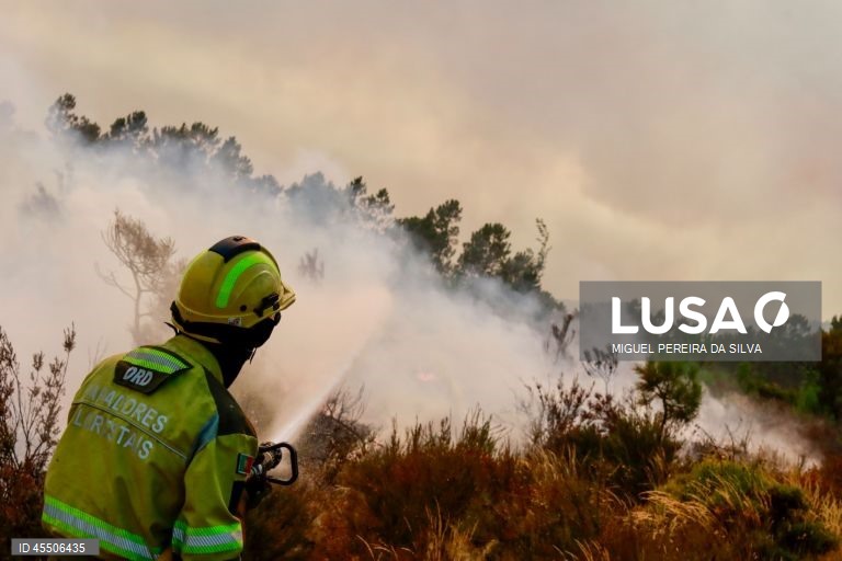 Duas frentes a arder com intensidade no fogo que deflagrou em Sabrosa
