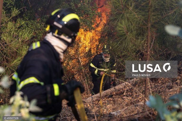 Fogos em Pedrógão Grande já chegaram à Sertã