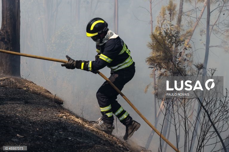 Dois fogos em Pedrógão Grande levam ao corte do IC8