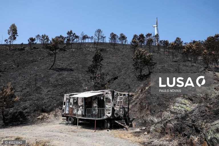 Fogo que começou em Arganil apresenta a maior área ardida de sempre em Portugal