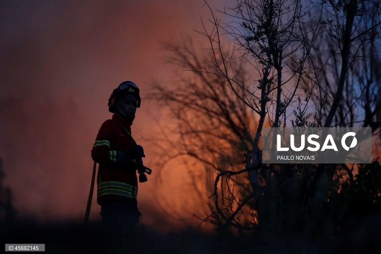 Fogo em Tondela dominado mas mantém mais de 200 operacionais