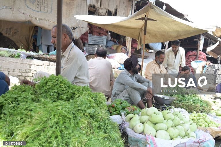 Floods damage 1.3 million acres of crops in Punjab