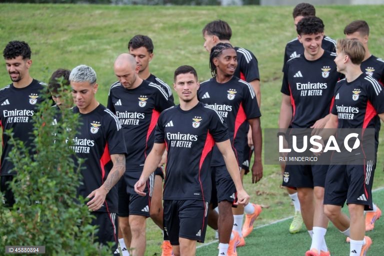 Benfica visita Newcastle em busca do primeiro triunfo na Liga dos Campeões