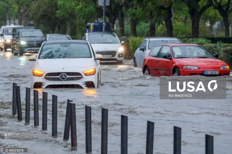 Mau tempo provoca 93 ocorrências no Médio Tejo incluindo desalojamentos