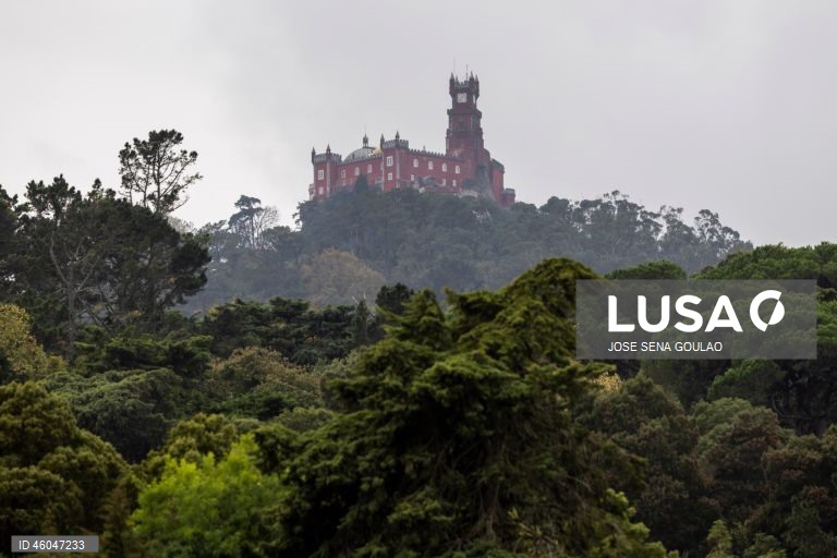 Parques de Sintra distinguida pela 13.ª vez consecutiva como melhor do mundo em conservação