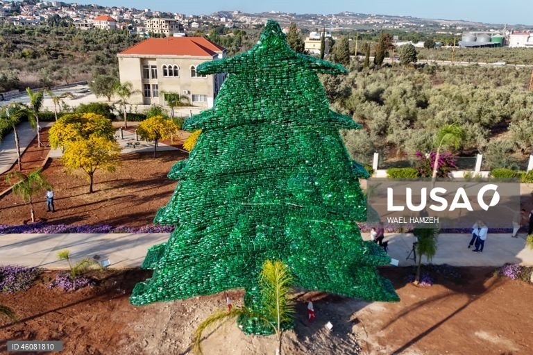 Cedar tree made of green plastic bottles seeks new world record