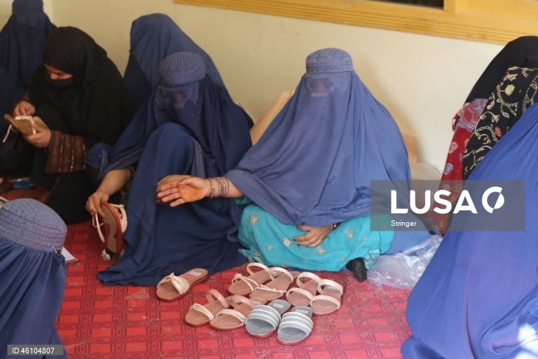 Parlamento português condena legislação no Afeganistão que coloca mulheres abaixo de animais