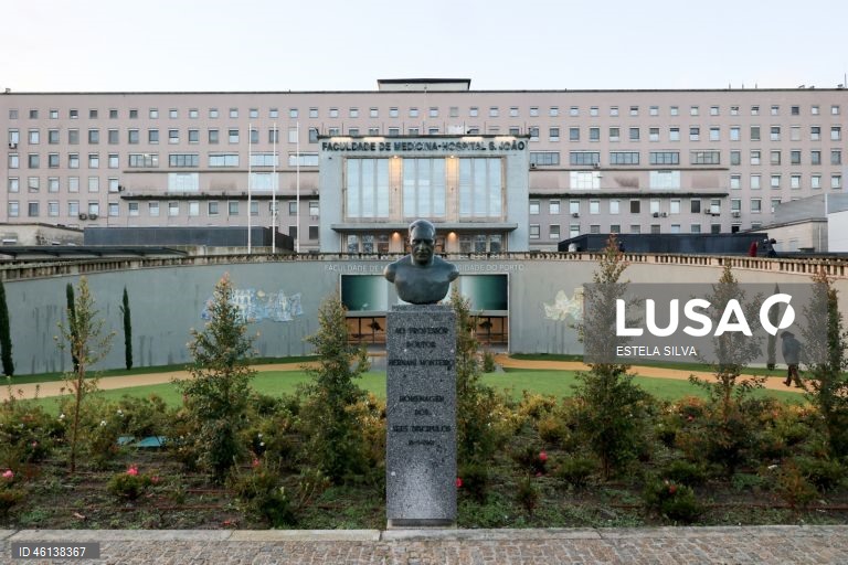 Escolas médicas da Universidade do Porto lançam licenciatura em Saúde Pública