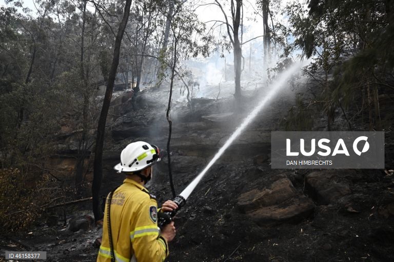 Bushfire ravages more than 100 hectares in NSW Central Coast region
