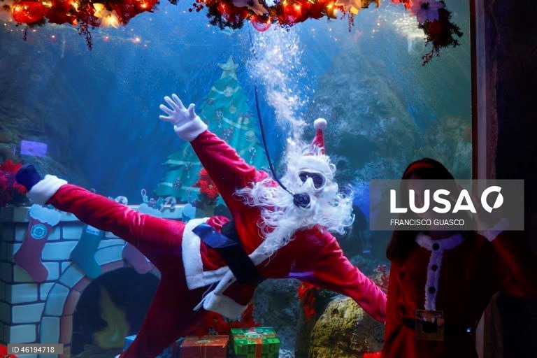 Chirstmas celebration with a diving Santa Claus at Guadalajara Zoo in Mexico