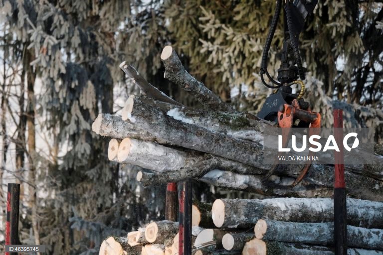 Cold weather in Latvia