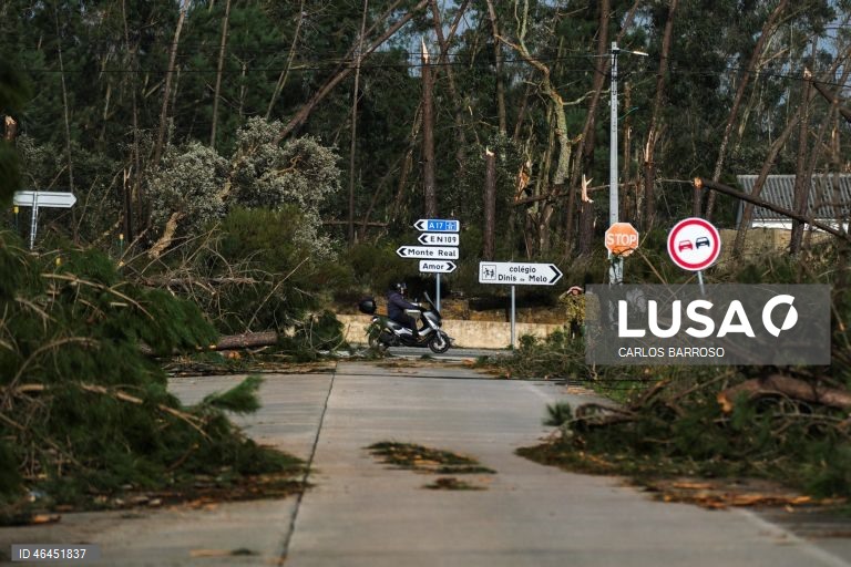 Parte significativa do território afetado pelo mau tempo continua sem comunicações – ANMP