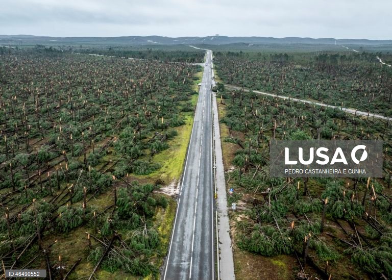 Governo lança até 400 ME para empresas do Centro com fundos não executados do PRR