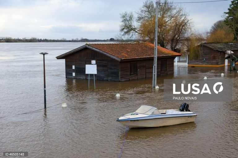 Rio Tejo continua a baixar e começa a deixar à vista destruição
