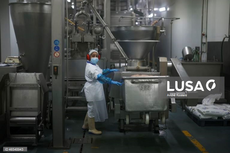 Custos horários da mão-de-obra sobem para 34,9 euros na UE e 38,2 euros na zona euro em 2025