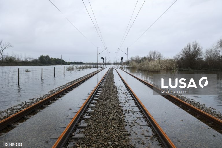 Empresas ferroviárias querem resposta do Governo a pedido de suspensão de taxa