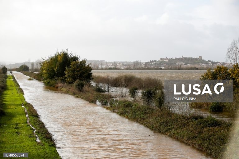 Agricultores de Coimbra exigem reparação do canal de rega do Mondego para garantir culturas