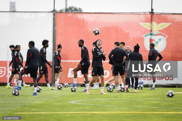 Benfica começa a decidir play-off da Liga dos Campeões em reencontro com Real Madrid