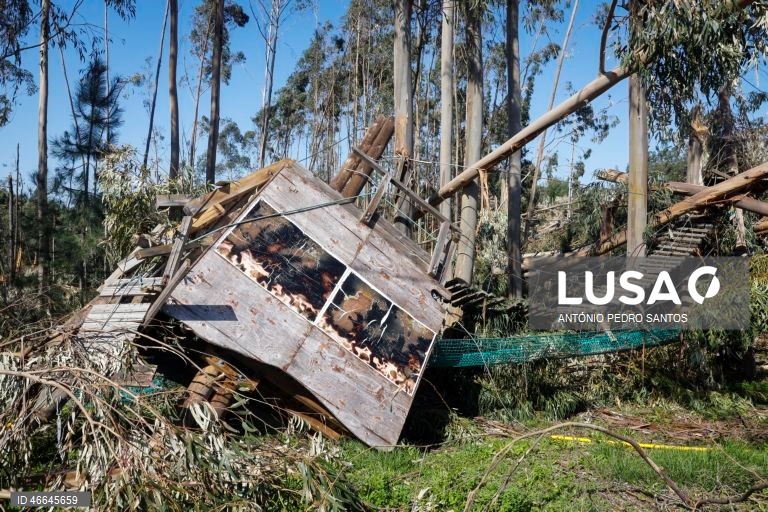 Autoridades europeias defendem seguro comum para riscos de catástrofes naturais na UE