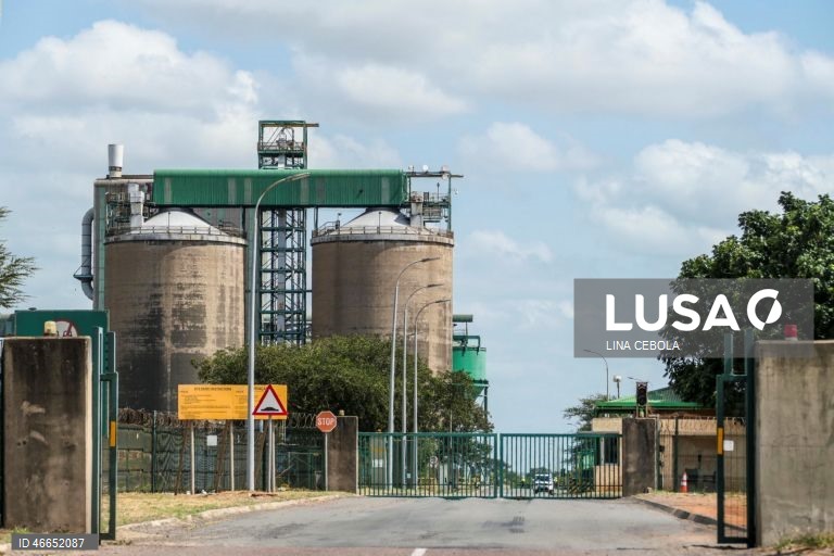 Encerramento da maior indústria moçambicana mergulha empresas no pesadelo