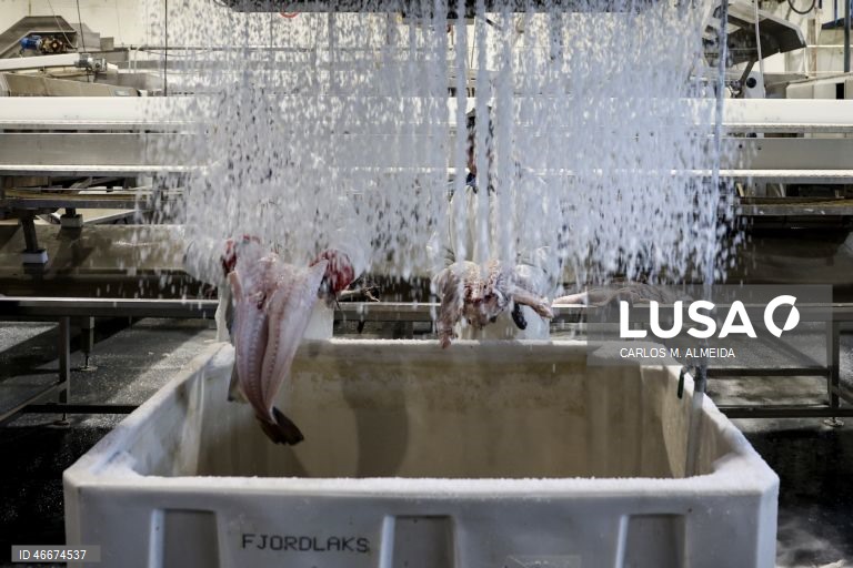 Bacalhau, joia da coroa norueguesa à mesa dos portugueses