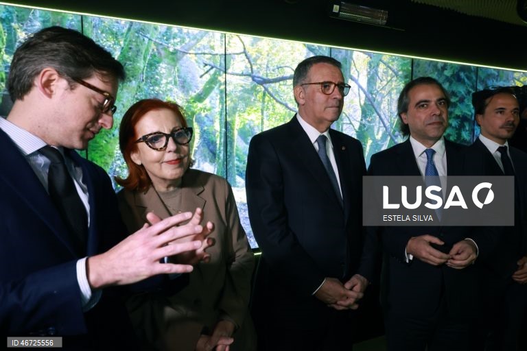 Portugal: Nuclear power does not make sense here - energy minister