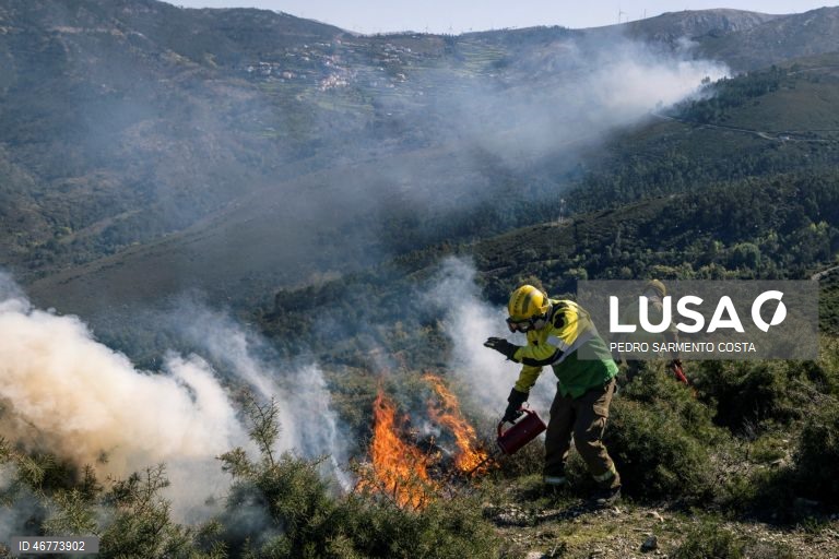 Ministro da Administração Interna reconhece que o verão vai ser “muito duro” no risco de incêndios florestais