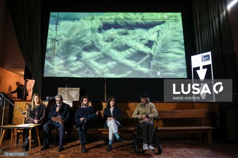Pavilhão de Portugal na Bienal de Arte de Veneza vai replicar sismos em tempo real