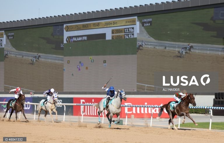 Dubai World Cup Horse Racing 2026