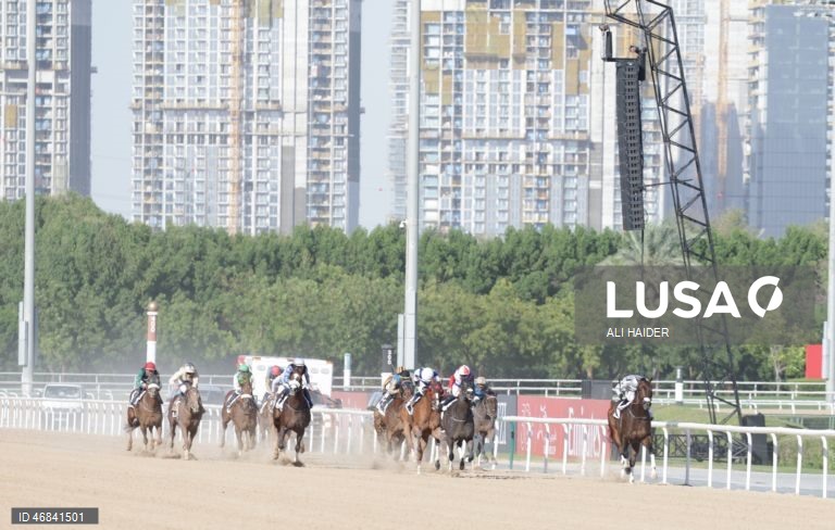 Dubai World Cup Horse Racing 2026