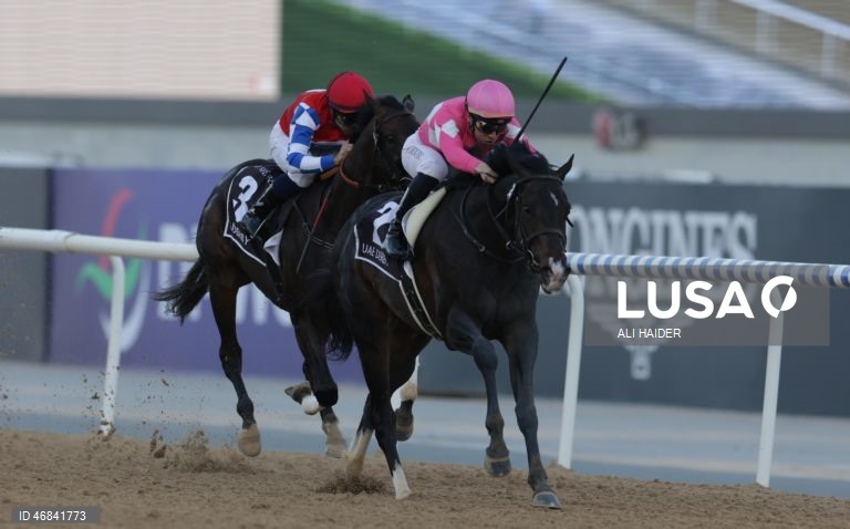 Dubai World Cup Horse Racing 2026