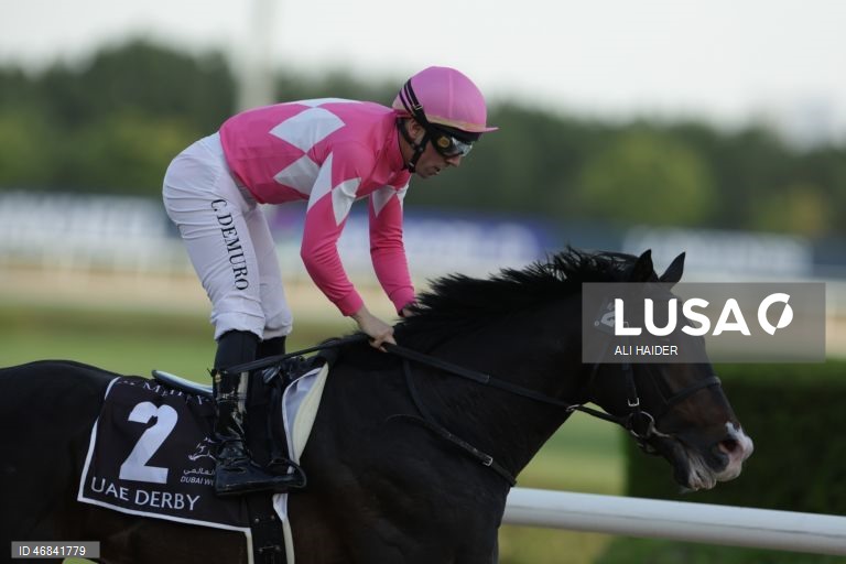 Dubai World Cup Horse Racing 2026