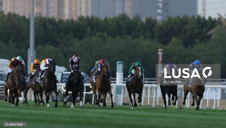 Dubai World Cup Horse Racing 2026