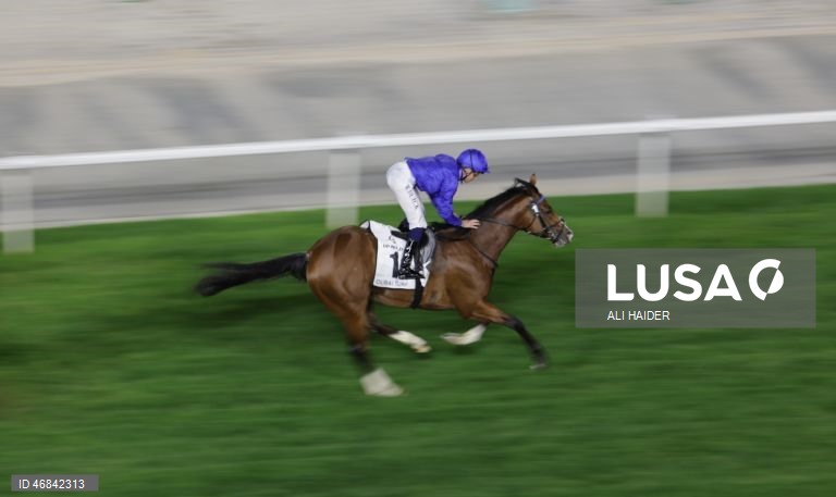 Dubai World Cup Horse Racing 2026