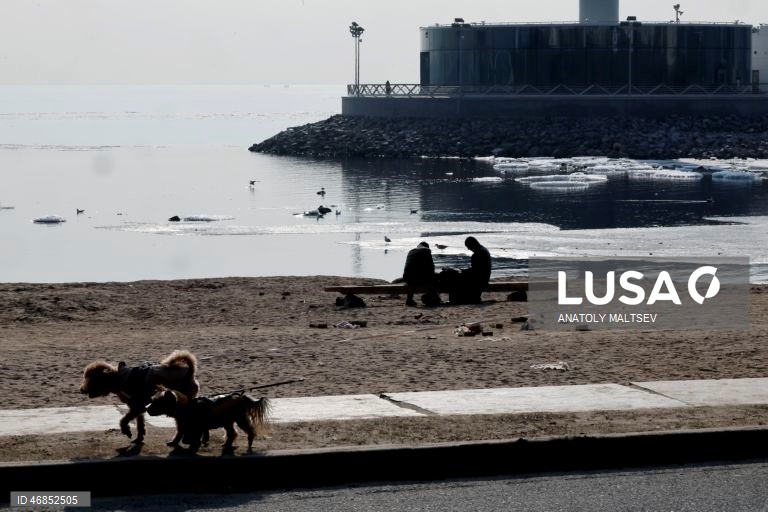 Daily Life in St. Petersburg