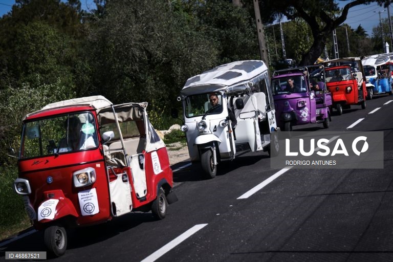 Condutores de animação turística protestam em Sintra contra novas regras de estacionamento