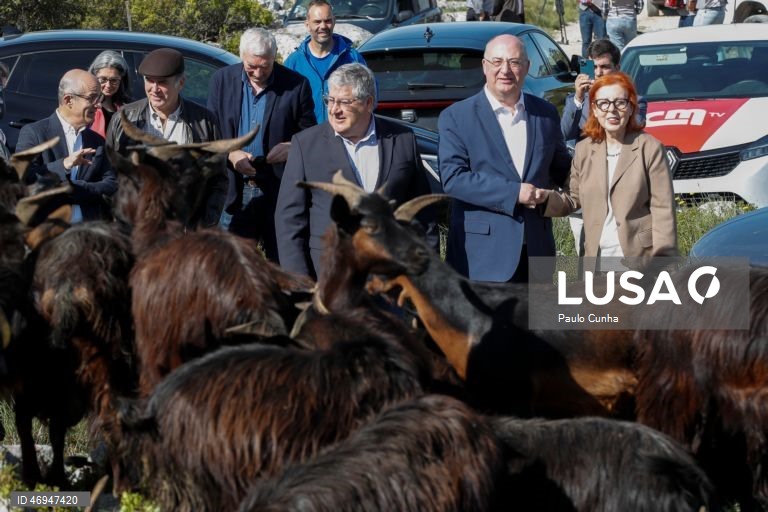 Governo investe 30 ME por ano para apoiar pastores e controlar risco de incêndios