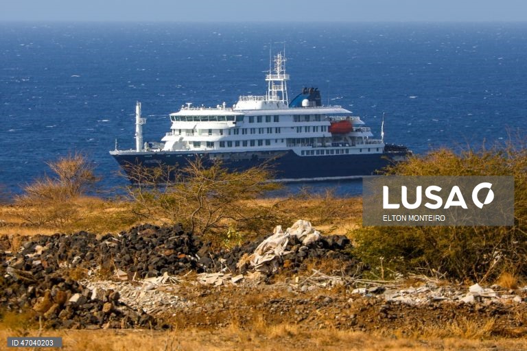 Centro Europeu diz que risco do surto respiratório a bordo de navio é baixo para a Europa