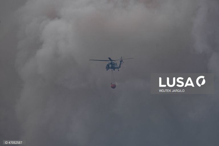 Investigadores esperam ano particularmente severo para incêndios florestais