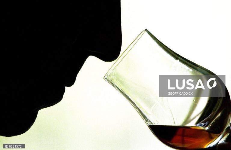 Essência do Vinho regressa ao Porto com 4 mil vinhos e 400 produtores