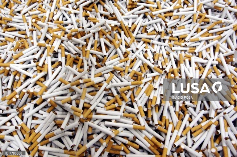 Consumo de tabaco causa perdas económicas anuais de 156 ME em Moçambique