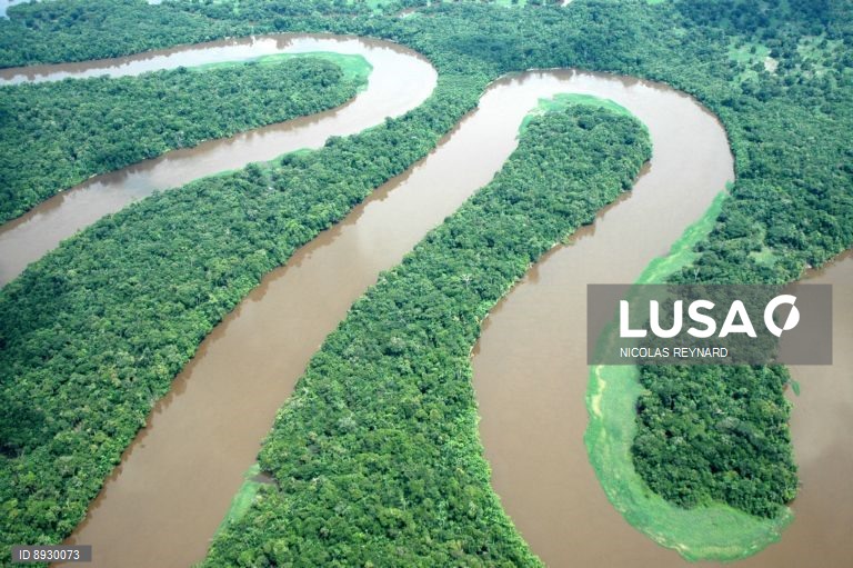 Justiça brasileira repõe acordo que proíbe compra de soja plantada na Amazónia