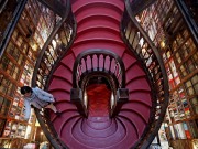 Pedido de reconhecimento da Fundação Livraria Lello indeferido