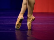 Festival DDD regressa a Porto, Matosinhos e Gaia com 50 espetáculos