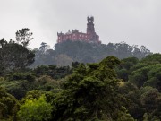 Parques de Sintra distinguida pela 13.ª vez consecutiva como melhor do mundo em conservação