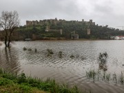 Montemor-o-Velho cancelou Festival do Arroz e da Lampreia