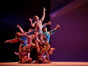 "Uma Pina Colagem" com música de A Garota Não estreia-se no Teatro Nacional S. João