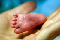 Macau regista em 2025 menor número de nascimentos em quase meio século