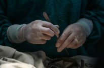 Neurocirurgiões moçambicanos distinguidos no Dubai por trabalhos científicos